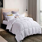 Alternate image 1 for Martha Stewart White Feather and Down Comforter