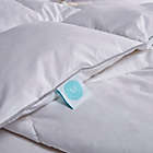 Alternate image 2 for Martha Stewart White Feather and Down Comforter