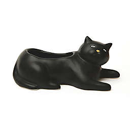 Cosmo the Cat Indoor Ceramic Planter in Black