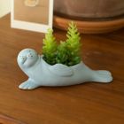 Alternate image 2 for Suki the Seal Pup Indoor Ceramic Planter in Blue
