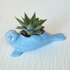 Alternate image 1 for Suki the Seal Pup Indoor Ceramic Planter in Blue