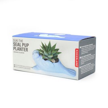 Suki the Seal Pup Indoor Ceramic Planter in Blue. View a larger version of this product image.