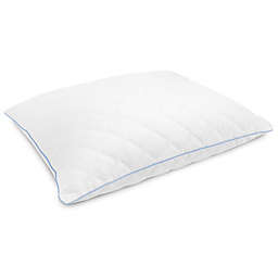 Charisma® Memory Foam Cotton Cluster Standard Bed Pillow