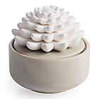 Alternate image 0 for Airom&eacute; Porcelain Succulent 2-Piece Essential Oil Diffuser Set in Tan
