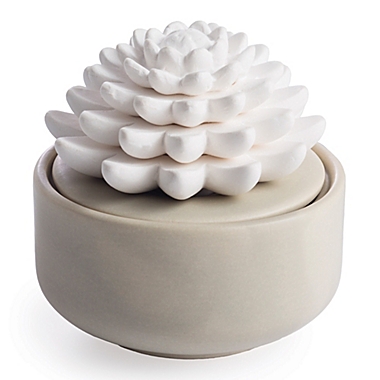 Airom&eacute; Porcelain Succulent 2-Piece Essential Oil Diffuser Set in Tan. View a larger version of this product image.