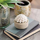 Alternate image 1 for Airom&eacute; Porcelain Succulent 2-Piece Essential Oil Diffuser Set in Tan