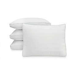 SensorPEDIC Plush Fiber Gusseted Bed Pillow