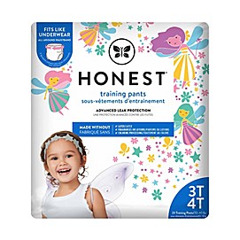 Honest Size 3-4T 23-Pack Training Pants in Fairy Pattern