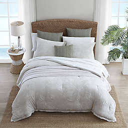 Tommy Bahama® Abalone Queen Comforter Set