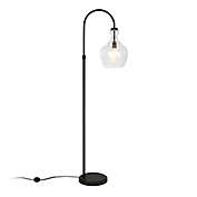 Hudson&amp;Canal&reg; Arc Floor Lamp with Seeded Glass Shade in Black