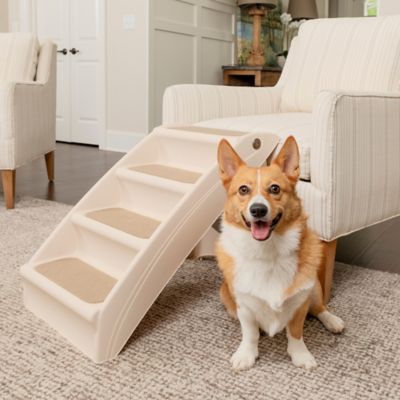 bed bath and beyond pet stairs