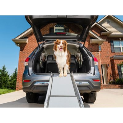 petsafe dog ramp