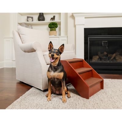 akc convertible step ramp