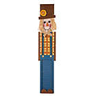 Alternate image 0 for Glitzhome&reg; 42-Inch Scarecrow Porch Sign in Orange