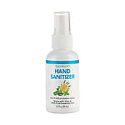 SpaRoom Citrus 2 oz. Spray Bottle Antibacterial Hand Sanitizer
