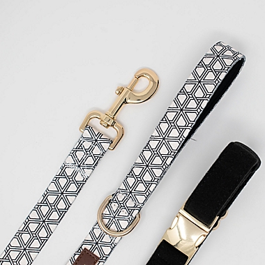 Pink Papyrus Avery Dog Leash in Black. View a larger version of this product image.