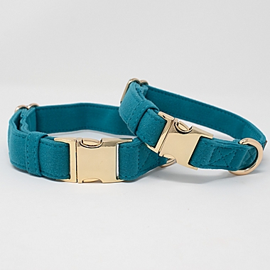Pink Papyrus Hayden Dog Collar in Teal. View a larger version of this product image.