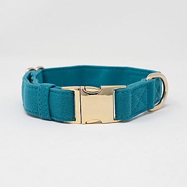 Pink Papyrus Hayden Dog Collar in Teal. View a larger version of this product image.
