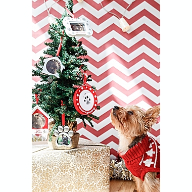 Pearhead&reg; &quot;Season&rsquo;s Grrreetings&quot; Pawprints Photo Ornament Kit in Red. View a larger version of this product image.