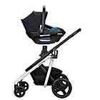 Alternate image 4 for Maxi-Cosi&reg; Coral&trade; XP Infant Car Seat in Graphite