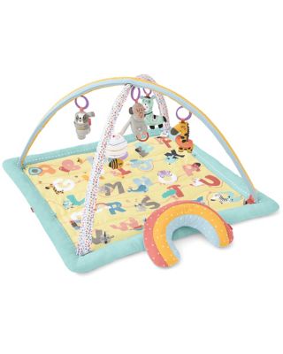 skip hop abc activity gym