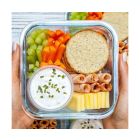 Alternate image 1 for Wean Green&reg; 16 oz. Garden Pack Lunch Cubes in Assorted Colors (Set of 4)