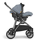 Alternate image 12 for Chicco&reg; Corso Modular Travel System in Silverspring