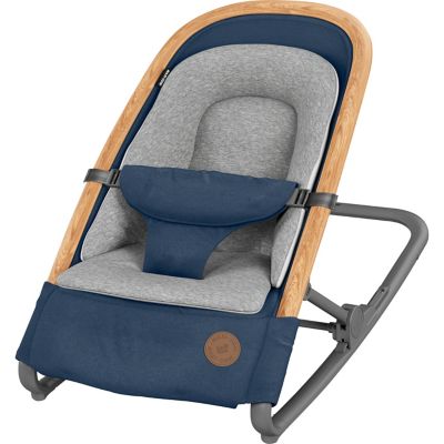 2 in 1 baby rocker