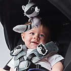 Alternate image 1 for Diono Baby Soft Wraps and Toy, Racoon
