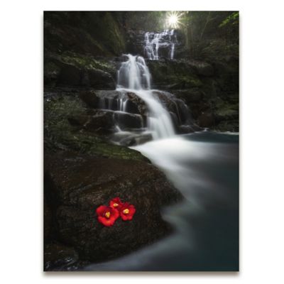 Little Red Flower Photographic Gallery Canvas Wall Art