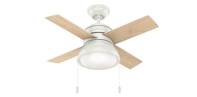 36 inch ceiling fan