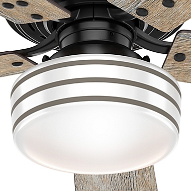 Hunter&reg; 52-Inch Cedar Key Indoor/Outdoor 1-Light Ceiling Fan in Matte Black with Remote Control. View a larger version of this product image.