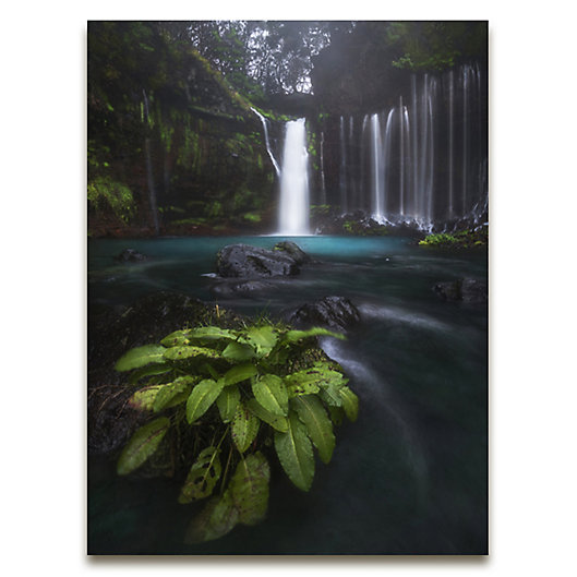 Colossal Images Rainforest Waterfall Wall Art Bed Bath Beyond - Waterfall Wall Art With Sound