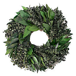 Bee & Willow™ 28-Inch Mixed Eucalyptus Wreath