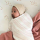 Alternate image 3 for Ely&#39;s &amp; Co. 2-Pack Dotties Cotton Muslin Swaddle Blankets in Pink