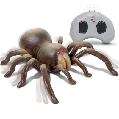 remote control spider with camera