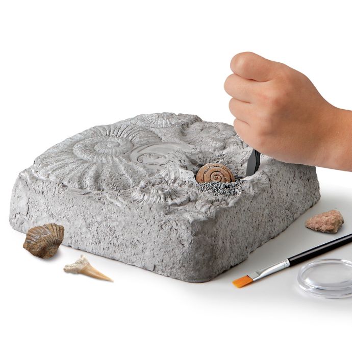 jurassic world bath excavation kit