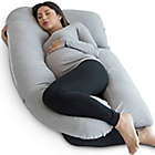 Alternate image 1 for Pharmedoc&reg; Maternity Body Pillow in Grey