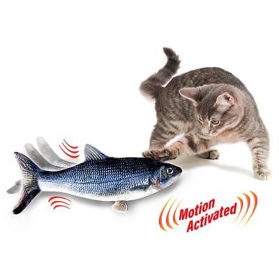 flippity fish rechargeable cat toy in grey