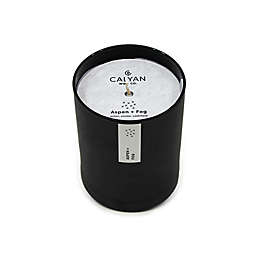 Calyan Wax Co. Aspen + Fog Glass Tumbler Soy Candle in Matte Black