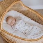 Alternate image 8 for aden + anais&trade; essentials easy swaddle&trade; Newborn 2-Pack Snug Swaddles in Savanna