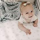 Alternate image 2 for Ely&#39;s &amp; Co. 2-Pack Stars Jersey Cotton Crib Sheets in Tan