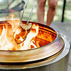 Alternate image 2 for Solo Stove Yukon Wood Burning Fire Pit in Silver