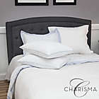 Alternate image 15 for Charisma&reg; Memory Foam 2-Pack Cluster and Gel Beads Bed Pillows