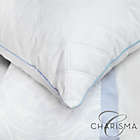 Alternate image 9 for Charisma&reg; Memory Foam 2-Pack Cluster and Gel Beads Bed Pillows