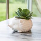Alternate image 2 for Prickles the Hedgehog Indoor Ceramic Planter in White