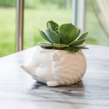 Prickles the Hedgehog Indoor Ceramic Planter in White. View a larger version of this product image.