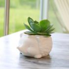 Alternate image 3 for Prickles the Hedgehog Indoor Ceramic Planter in White