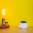 Alternate image 4 for Prickles the Hedgehog Indoor Ceramic Planter in White