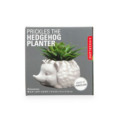 Prickles the Hedgehog Indoor Ceramic Planter in White. View a larger version of this product image.